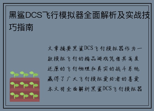 黑鲨DCS飞行模拟器全面解析及实战技巧指南